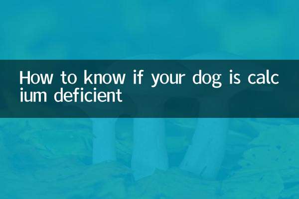 Как узнать, что у вашей собаки дефицит кальция