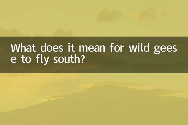 大雁南飞是什么意思