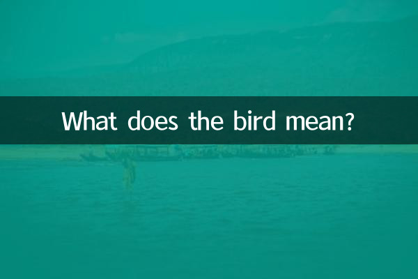 O que o pássaro significa?