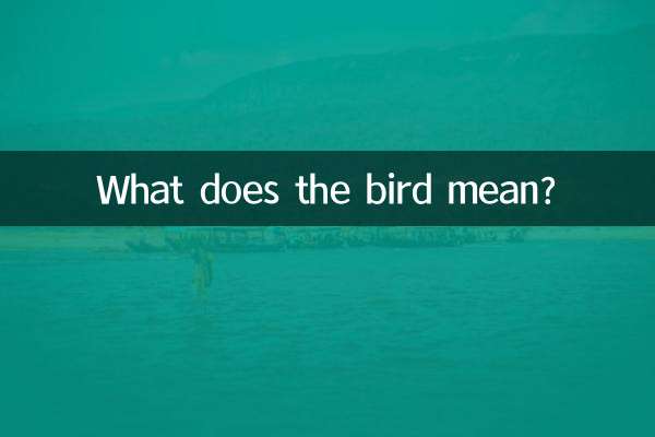 O que o pássaro significa?
