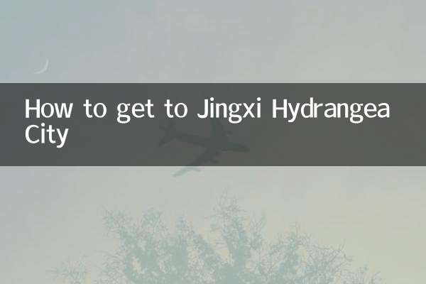 靖西繡球城怎麼走