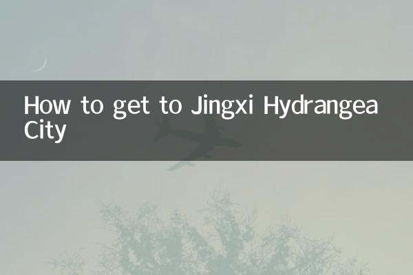 靖西繡球城怎麼走