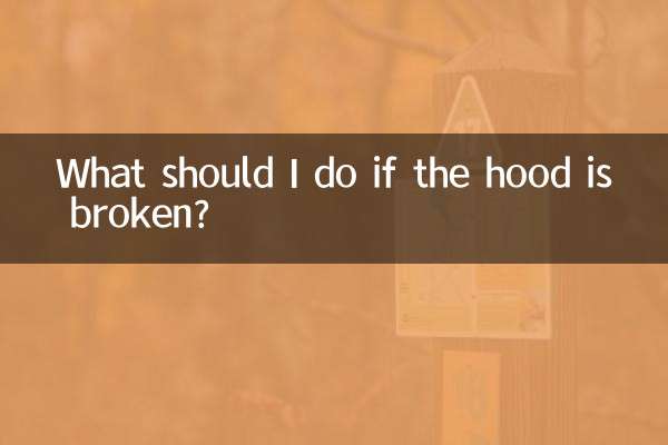 ¿Qué debo hacer si se rompe el capó?