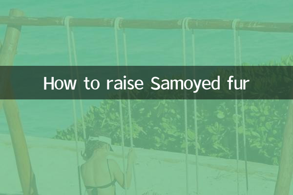 사모예드 털 키우는 방법