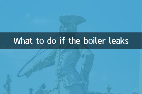 What to do if the boiler leaks
