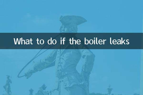 What to do if the boiler leaks