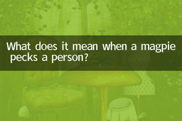 Was bedeutet es, wenn eine Elster eine Person pickt?