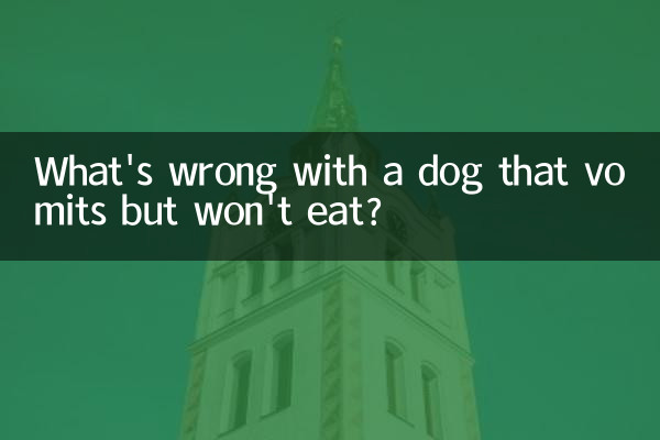 Qu'est-ce qui ne va pas avec un chien qui vomit mais ne veut pas manger ?