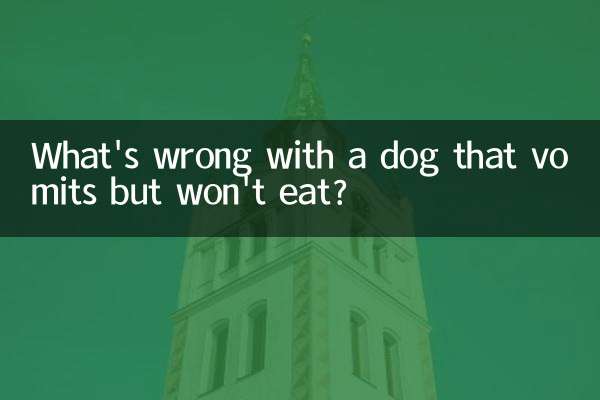 Cosa c'è che non va in un cane che vomita ma non mangia?
