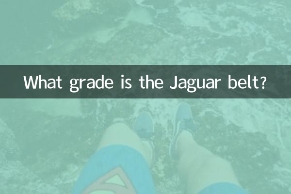 ¿De qué grado es el cinturón de Jaguar?