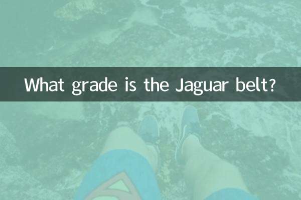 捷豹皮帶是什麼檔次的