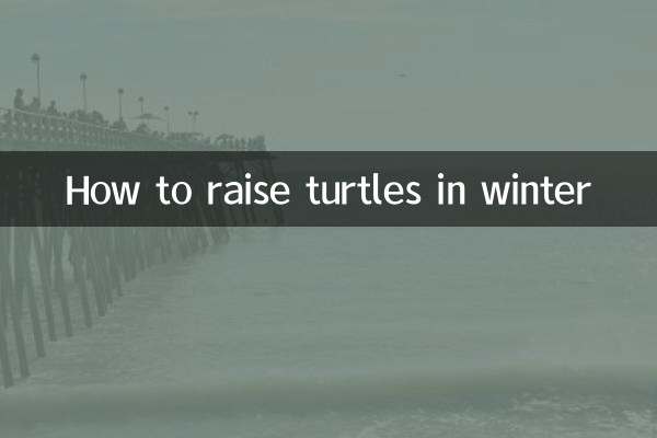 冬季乌龟怎么养