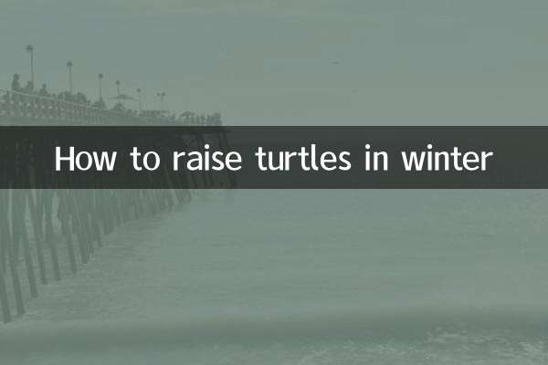 نحوه پرورش لاک پشت در زمستان