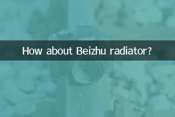 بیجھو ریڈی ایٹر کے بارے میں کیا خیال ہے؟