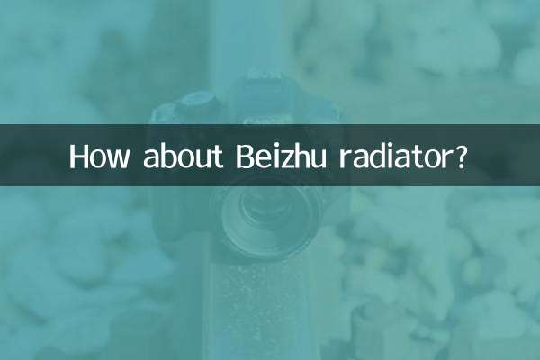 بیجھو ریڈی ایٹر کے بارے میں کیا خیال ہے؟