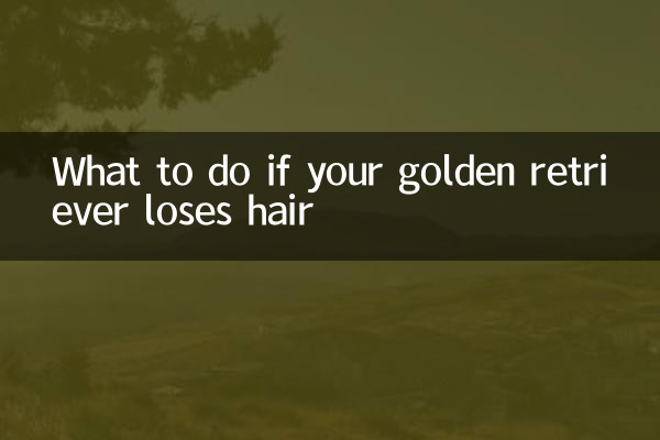 Was tun, wenn Ihr Golden Retriever Haare verliert?