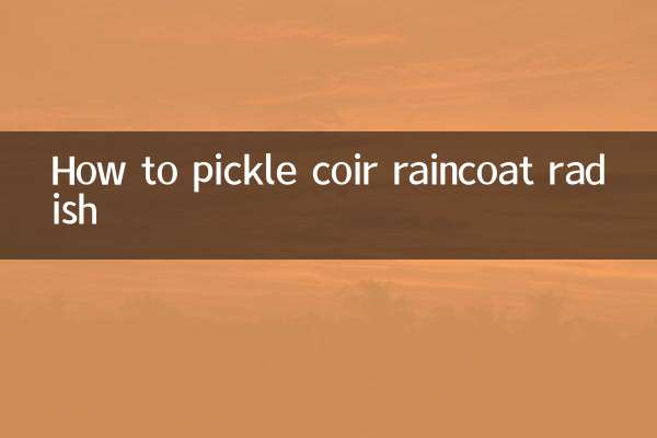 কয়ার রেইনকোট মুলার আচার কিভাবে