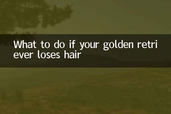 ゴールデンレトリバーの毛が抜けてしまった場合の対処法