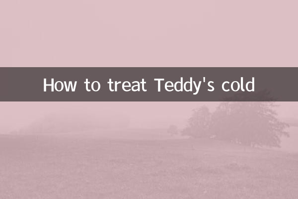 泰迪感冒怎么看