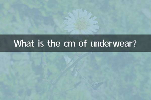What is the cm of underwear?