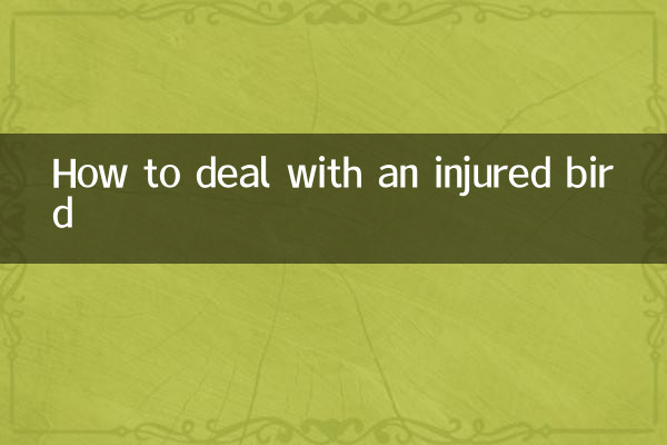 Wie man mit einem verletzten Vogel umgeht