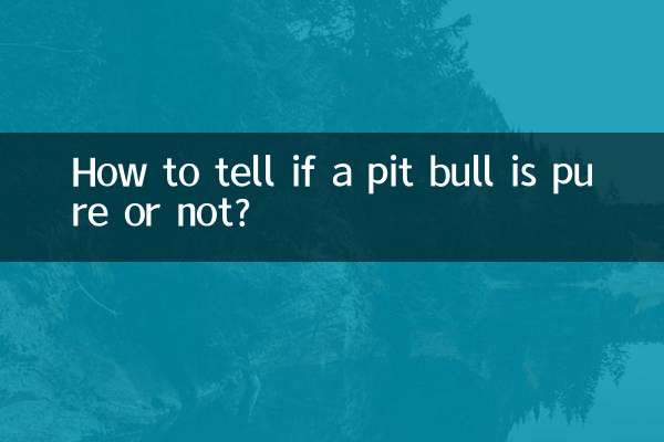 Comment savoir si un pitbull est pur ou non ?
