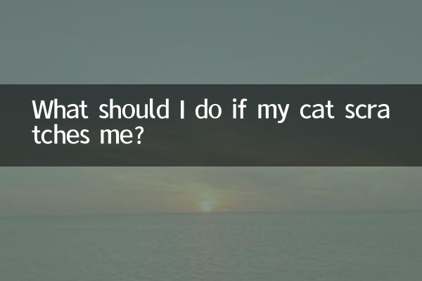 고양이가 나를 할퀴면 어떻게 해야 하나요?