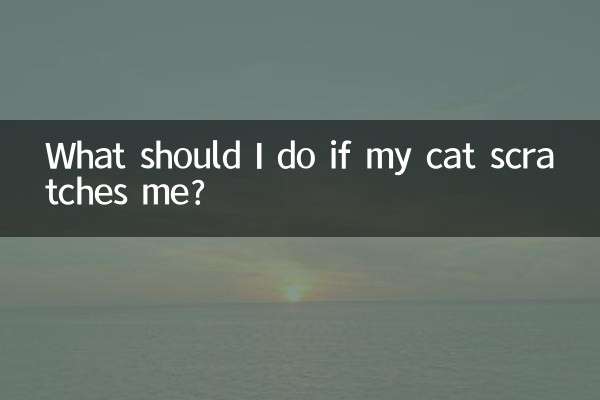 고양이가 나를 할퀴면 어떻게 해야 하나요?