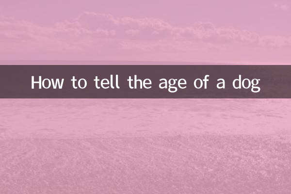 狗狗的岁数怎么看