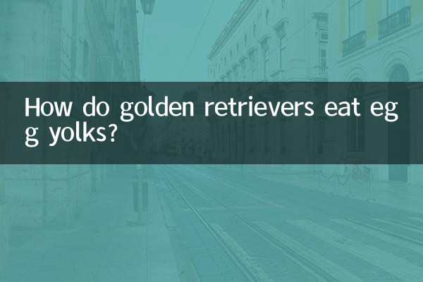 ¿Cómo comen los golden retriever las yemas de huevo?