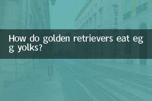 ¿Cómo comen los golden retriever las yemas de huevo?