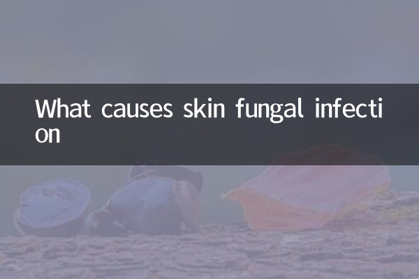 What causes skin fungal infection