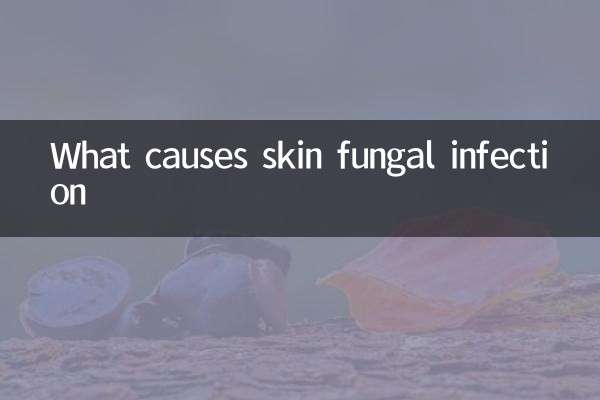 What causes skin fungal infection