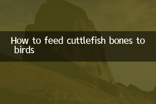 Como alimentar pássaros com ossos de choco