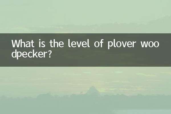 Qual é o nível do pica-pau tarambola?