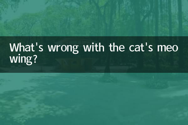 What's wrong with the cat's meowing?