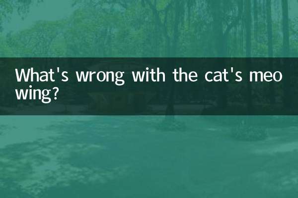 What's wrong with the cat's meowing?