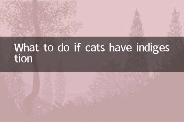 What to do if cats have indigestion