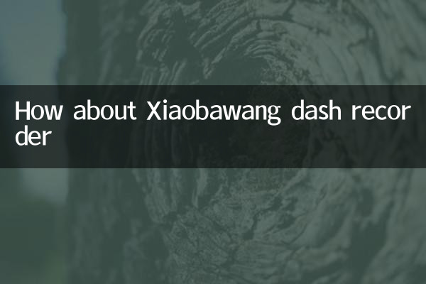 Как насчет рекордера xiaobawang dash