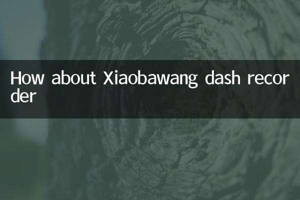 How about Xiaobawang dash recorder