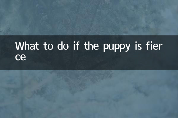 Que faire si le chiot est féroce