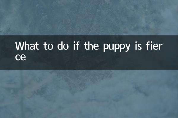 Que faire si le chiot est féroce