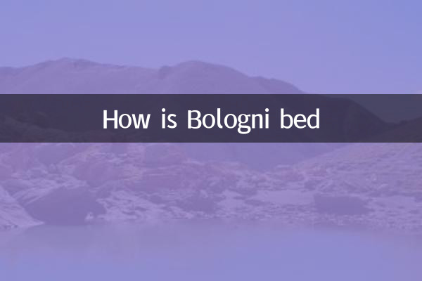 How is Bologni bed