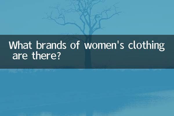 Qué marca de ropa para mujeres
