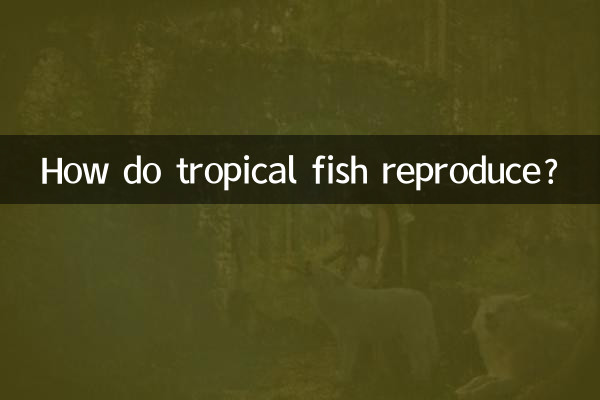 Как размножаются тропические рыбы?