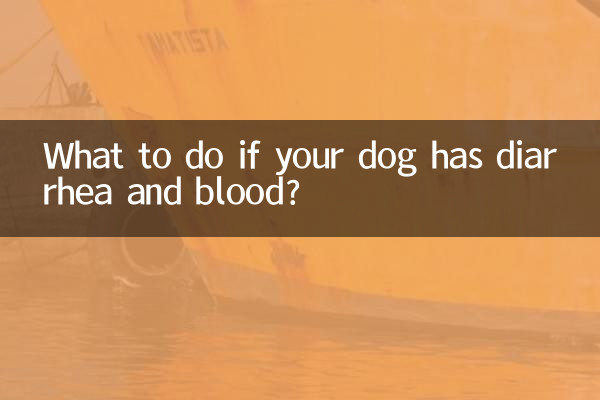 What to do if your dog has diarrhea and blood?