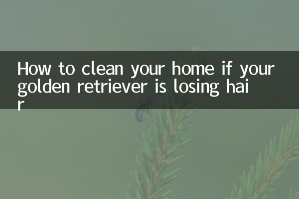 Comment nettoyer votre maison si votre golden retriever perd ses poils
