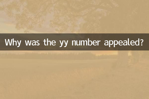 لماذا تم الاستئناف على الرقم yy؟