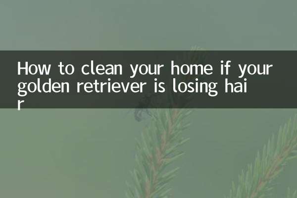 Comment nettoyer votre maison si votre golden retriever perd ses poils
