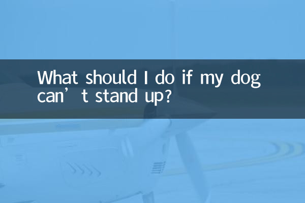 Was soll ich tun, wenn mein Hund nicht aufstehen kann?